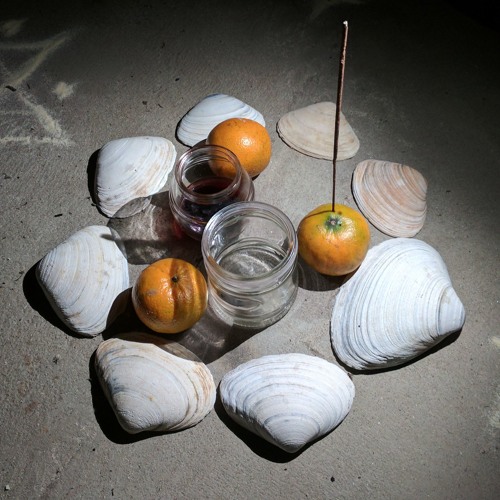 Lea Bertucci: Field Recording #8