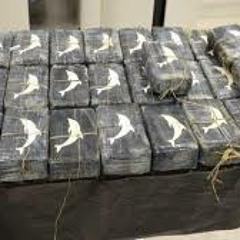 Rarri ft Nique G x Jesse O - "Stamp On It"