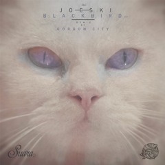 [Suara 264] Joeski - Blackbird (Gorgon City Remix) Snippet