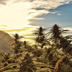 LOST - Rap Instrumenal - [CONTACT ME FOR DOWNLOAD]