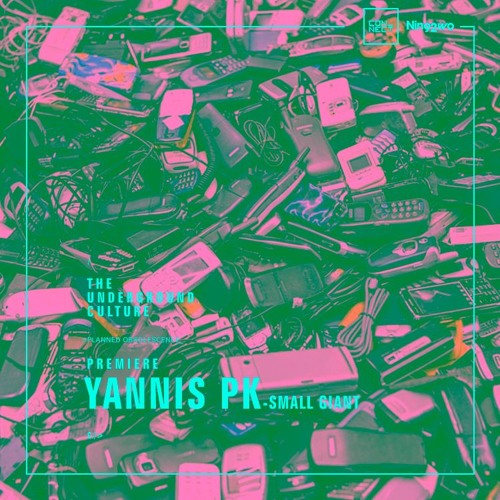 PREMIERE: Yannis PK - Small Giant (Original Mix) [Nin92wo Records]