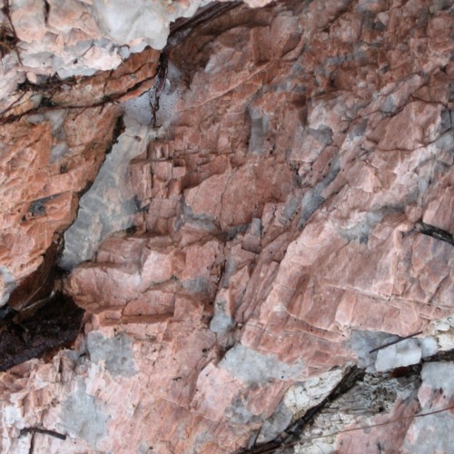 String Quartet no. 4 in D minor