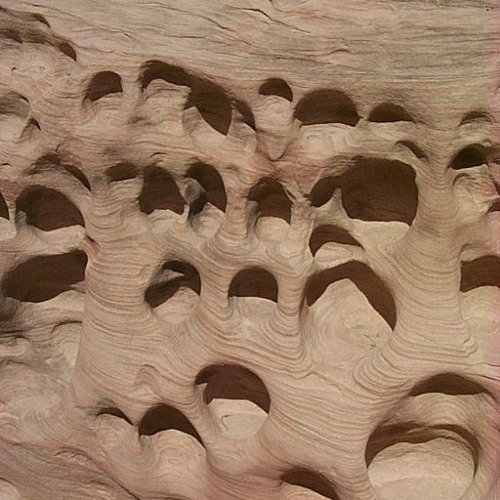 String Quartet in D Minor/i