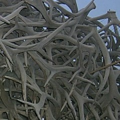 String Quartet in D Minor iii