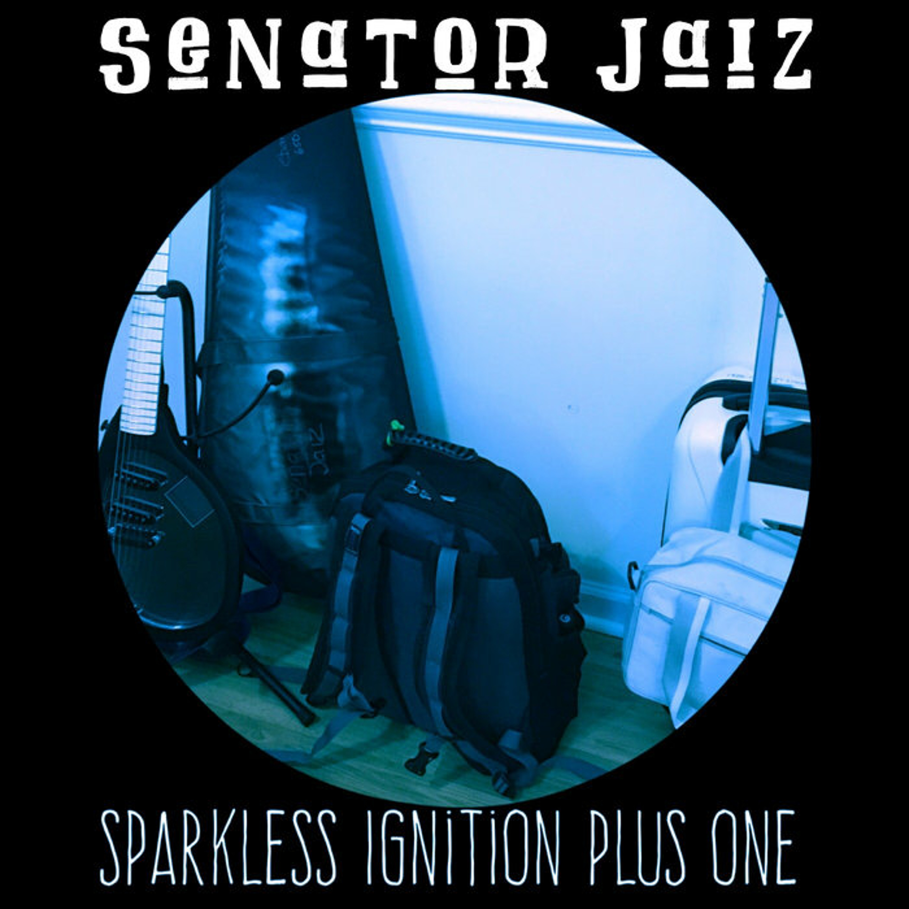 Senator Jaiz