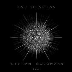 Stefan Goldmann - Streams (Original Mix) [Olga Recordings] [MI4L.com]