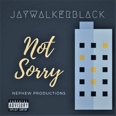 Not Sorry(Prod. Nephew Productions)mixed & mastered @IDDC studio