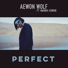 Aewon Wolf - Perfect ft Amanda Kunene (radio edit)