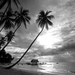 Rich James & Jon Barnard - Falling Stars