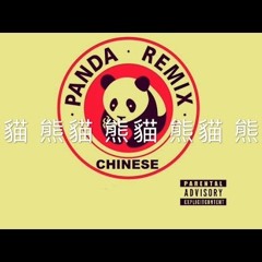 Desiigner - Panda (CHINA Remix)