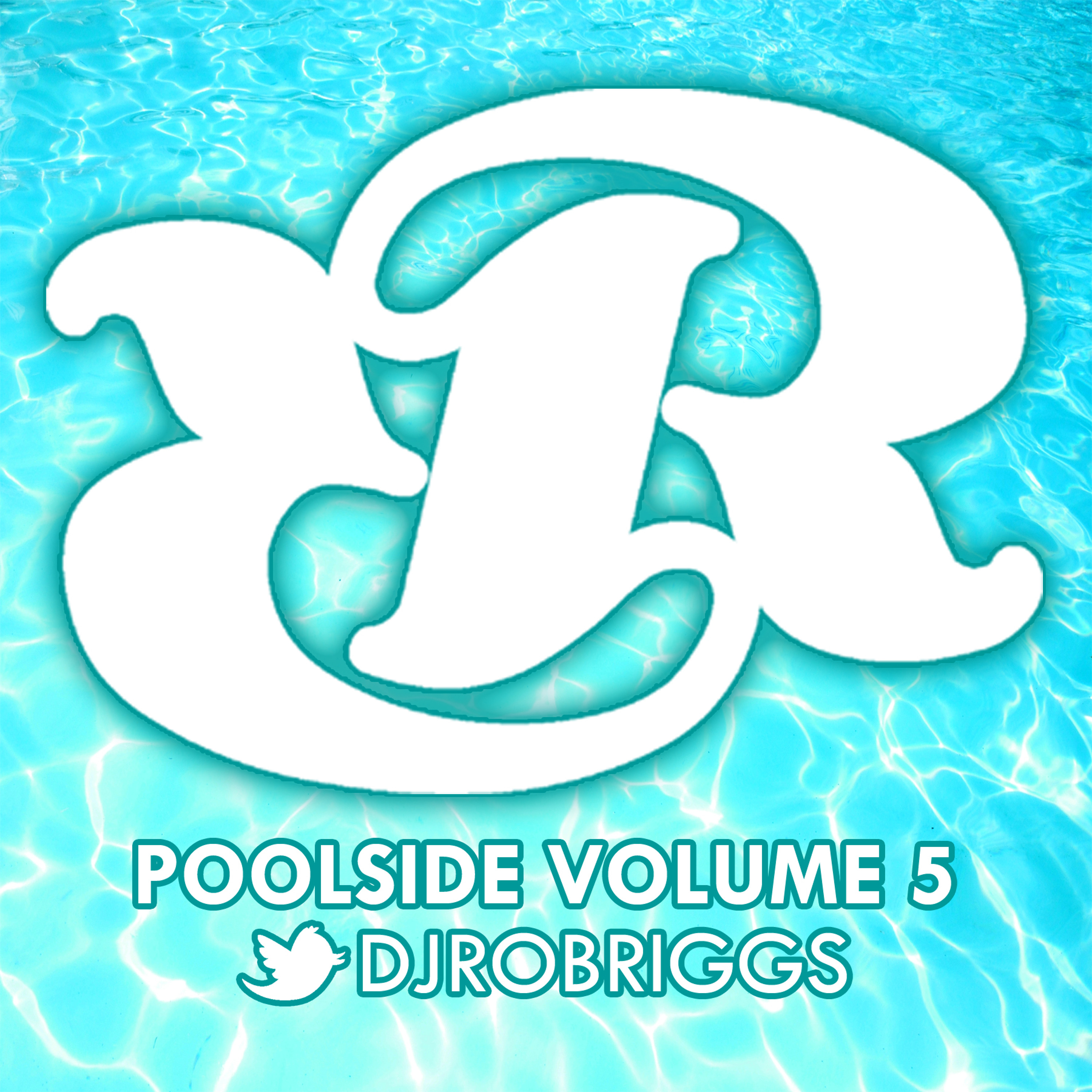 DJ Rob Riggs