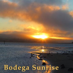 Bodega Sunrise