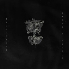 tamagotchi w/nimbus2k