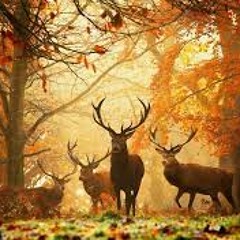 A Moments Idea Gone Well For Once.