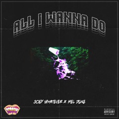 All I wanna Do ft. Mel Duke (Prod. T Fresh)