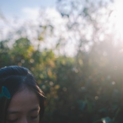 chưa lên non cao - võ lê vy