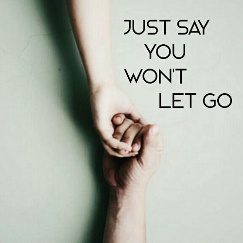 I Won't Let Go