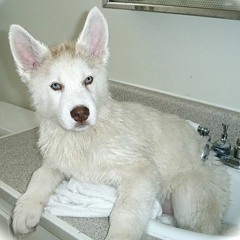 No me dejes, No me abandones. (424 Hz)