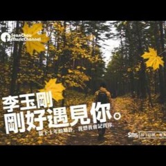 DJ紹齊 - 剛好遇見你2o17 【全中文慢搖EDM】150BPM