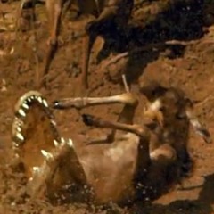 12 Fake Talks On The Phone