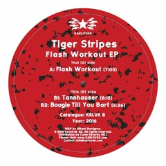 KRLVK8 - Tiger Stripes - Flashworkout EP