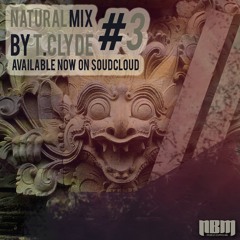 NATURAL MIX #3 by T-Clyde
