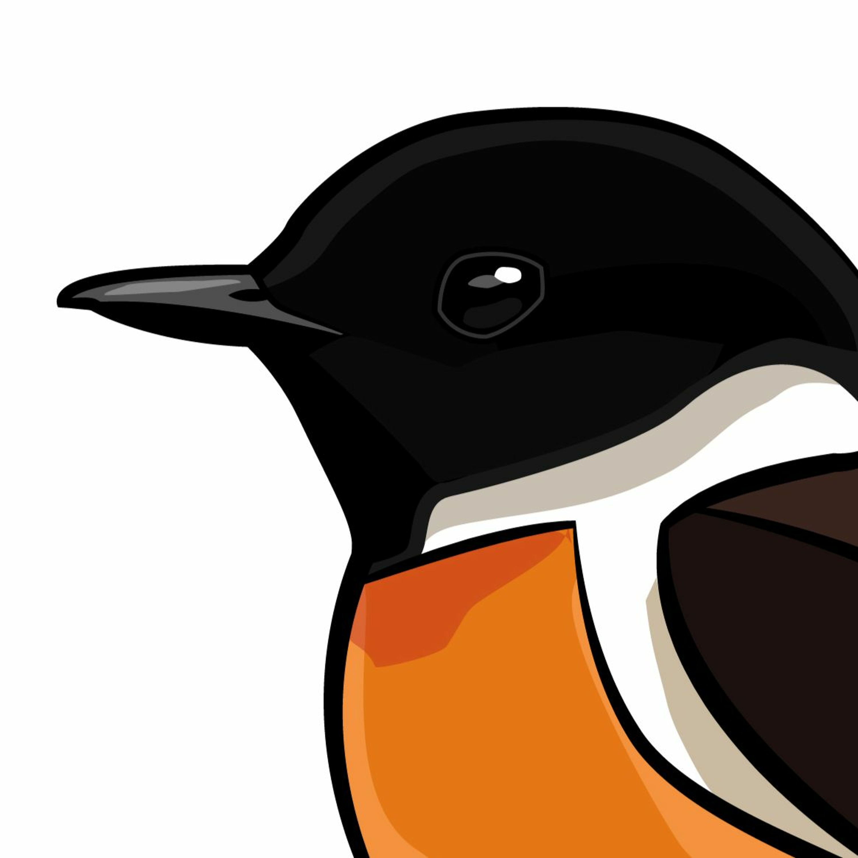 Pippipodden
