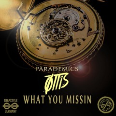 PARADEMICS † OTTiS - What You Missin'