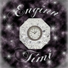 ENGINN TÍMI [video in description]