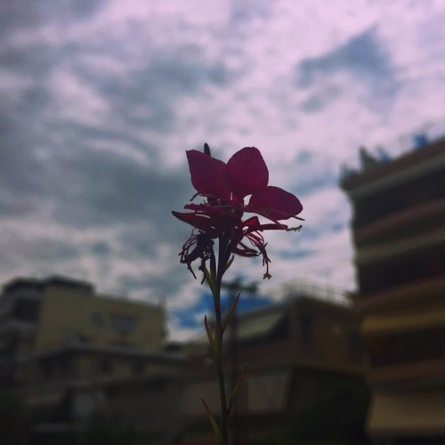 BrianVertigo - Coming Home