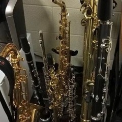 "Wouldn't It Be Nice" - Isolated Soprano Track