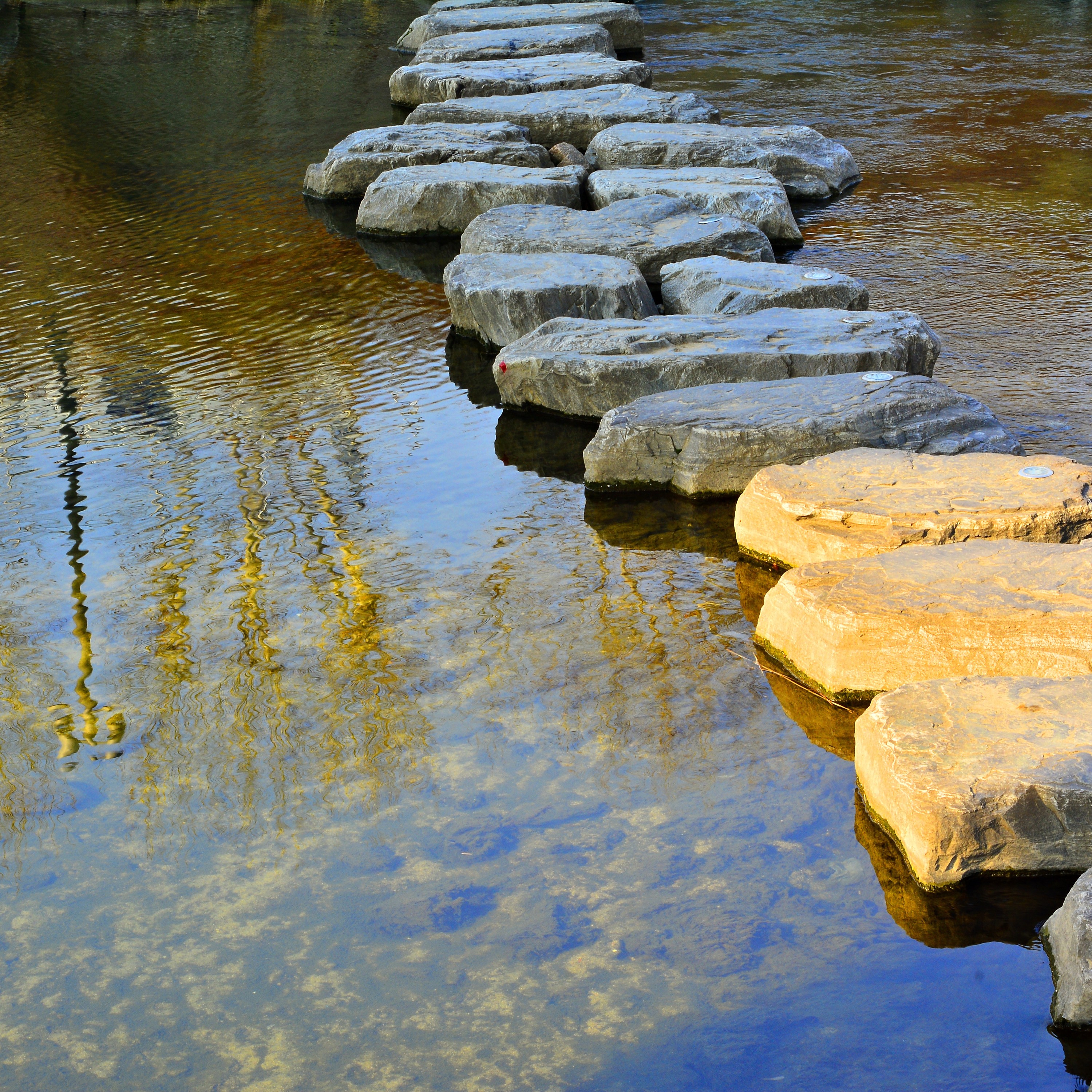 Streams & Soundscapes