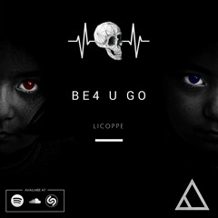 Before You Go