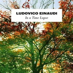 Brothers - L. Einaudi (Cover)