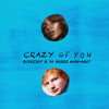 Beyonce Vs Ed Sheeran Crazy Of You Rudeejay And Da Brozz Mash Boot Free Download Mp3