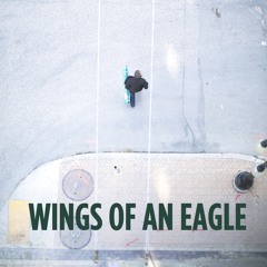 Wings Of An Eagle