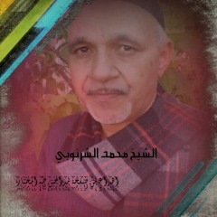 الشيخ محمد الشرنوبي في مولد الامام الحسين