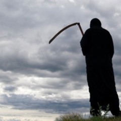 Gym Class Heros - Viva La White Girl (lean't out by $teve Robbs)