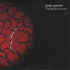 Peter Gabriel - The Book Of Love (DiskoSchmitt Edit)