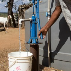 Chefe da 5ª UMA de Penedo/AL fala sobre obras que contribuem com a preservação dos recursos hídricos