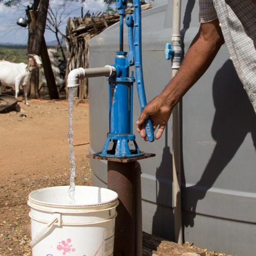 Chefe da 5ª UMA de Penedo/AL fala sobre obras que contribuem com a preservação dos recursos hídricos