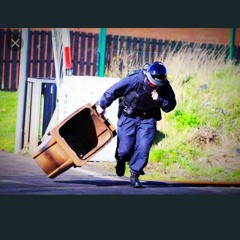 Cops Are Mental