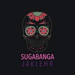 SugaBanga (Bassnectar x Excision & Downlink Mashup of SugarCube & HeadBanga)