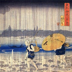 雨雨