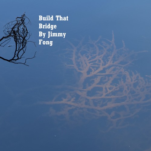 Build That Bridge
