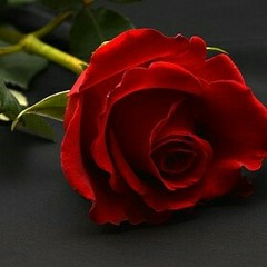 LITTLE MAN 972 - Sincérité.mp3