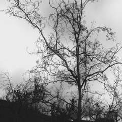 ǝuoןɐ [Prod. P.SOUL]