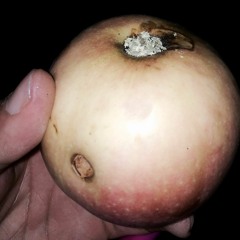 2017 HipHop Trap Mix Part 1