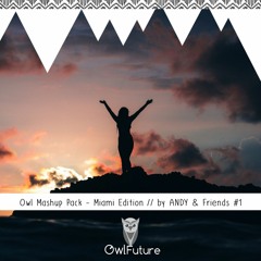 Owl Mashup Pack - Miami Edition by ANDY(Mixed by Rowan Lace)[Free Download - Buy Link]