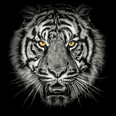 Setting Zero ( Original mix ) DJ CRADO